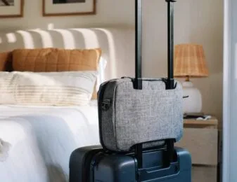 AirMini Travel Bag - Image 3