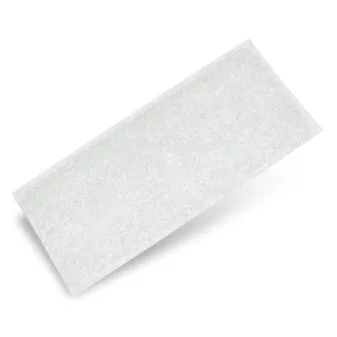AirSense™ 11 Disposable Standard Filters