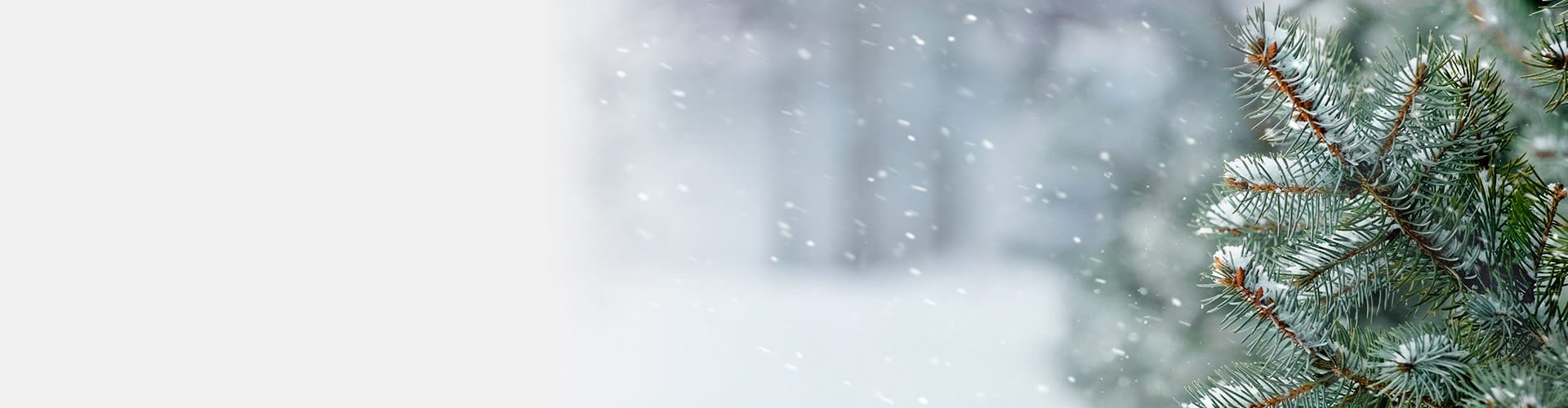 Join Our VIP Club Today