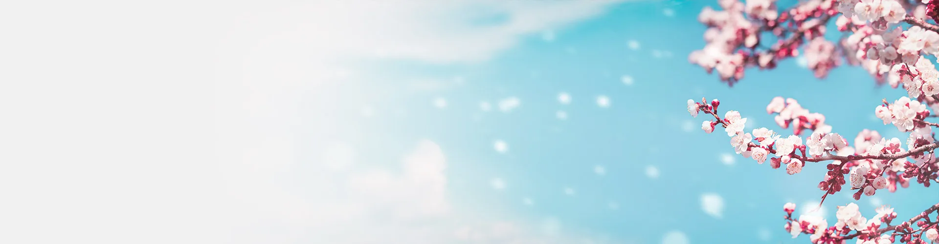 Join Our VIP Club Today