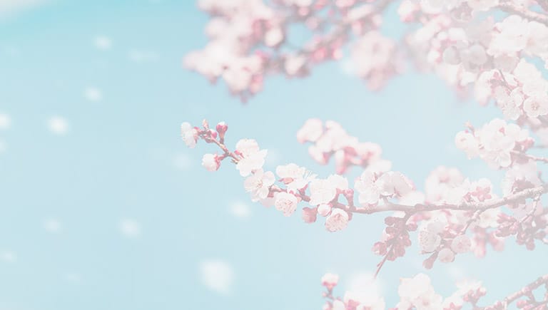 Join Our VIP Club Today Mobile