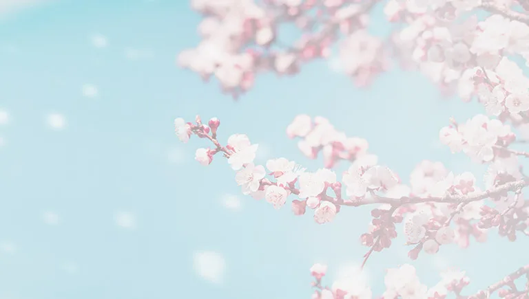 Join Our VIP Club Today Mobile